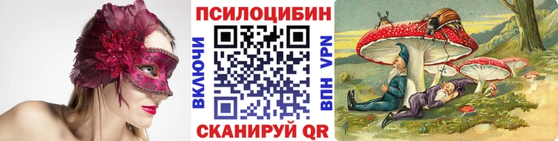 купить  сайты  Ладушкин  Псилоцибиновые грибы Psilocybine cubensis 